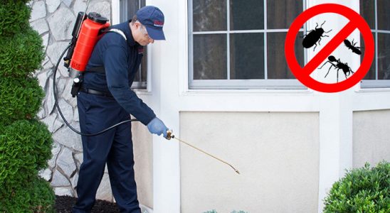 Dumlupınar Karınca İlaçlama böcek ilaçlama ve haşere kontrolü — ilaclama-tr.com